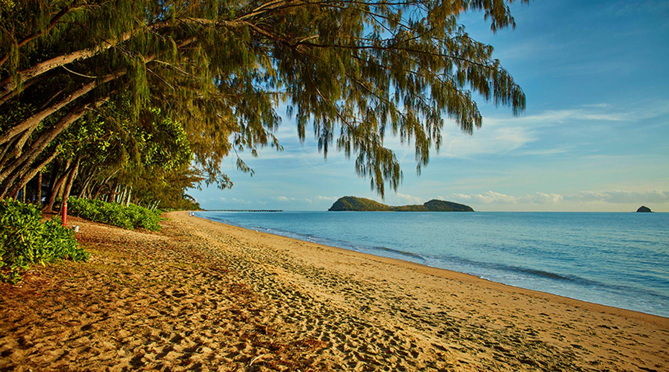Palm Cove