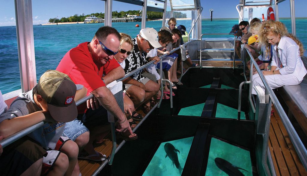 Big Cat Green Island Cruises
