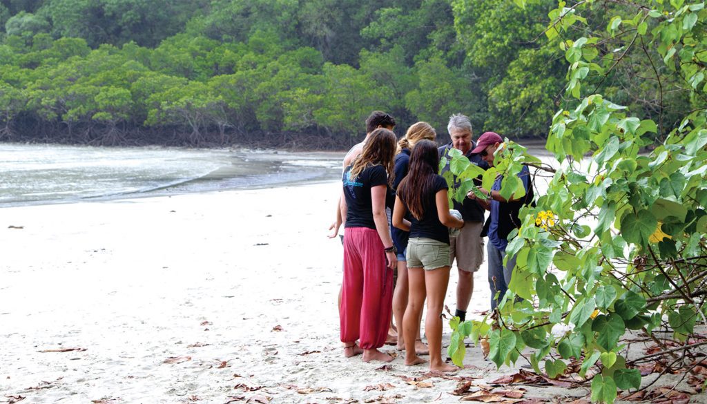 Daintree Tours