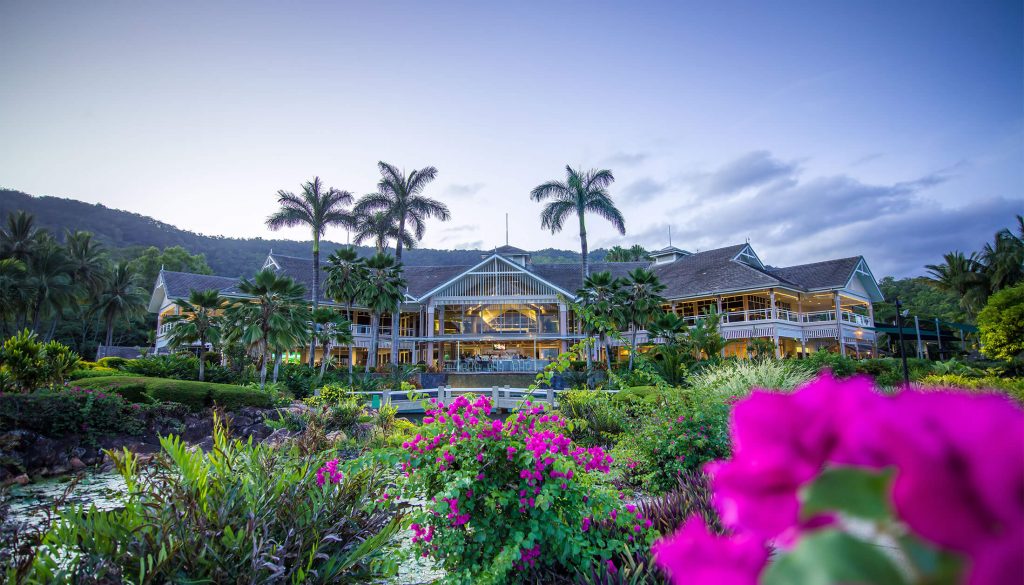 Paradise Palms