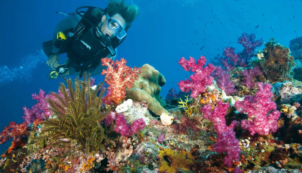 Poseidon Reef Cruises