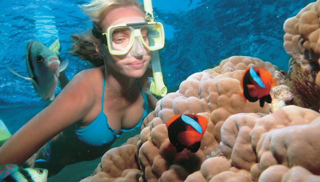 Poseidon Reef Cruises