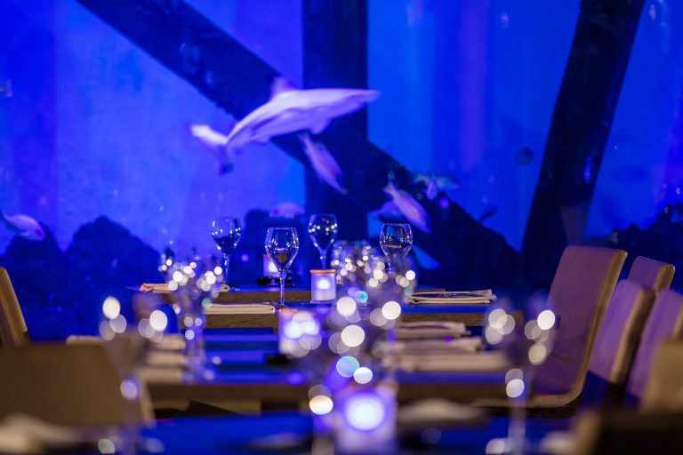 Cairns Aquarium Business Events Cairns