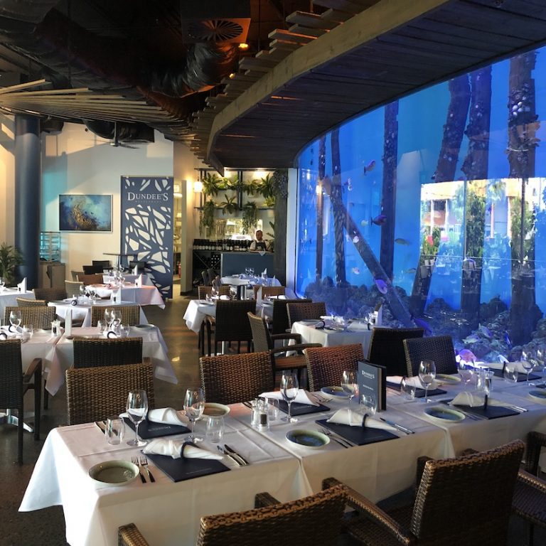 Cairns Aquarium Business Events Cairns