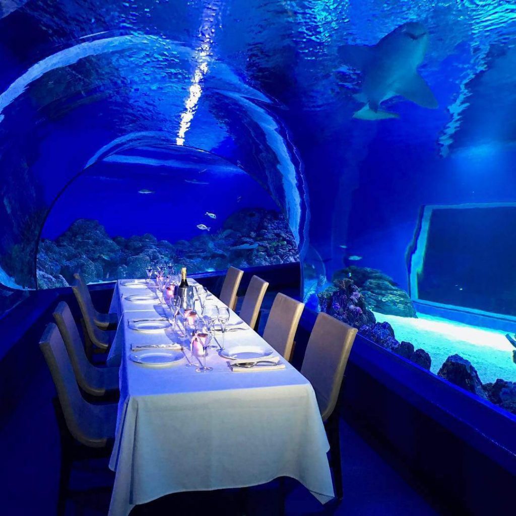 Cairns Aquarium | Business Events Cairns