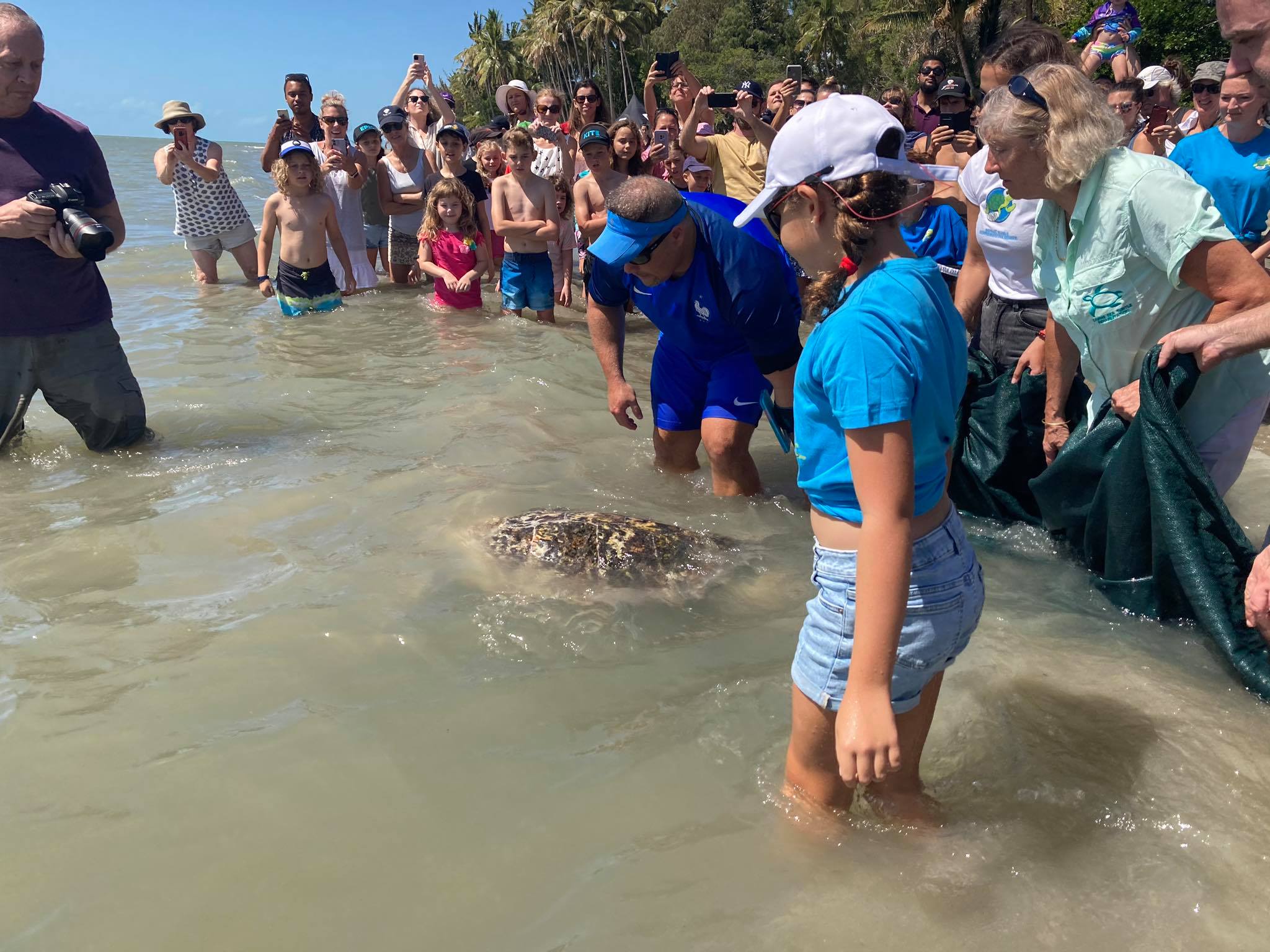 Cairns Turtle Rehabilitation Centre - Business Events Cairns