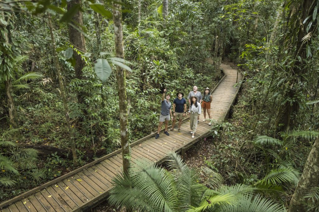 Tour guide leading guests on a rainforest walk at the Jindalba boardwalk, in Daintree National Park.